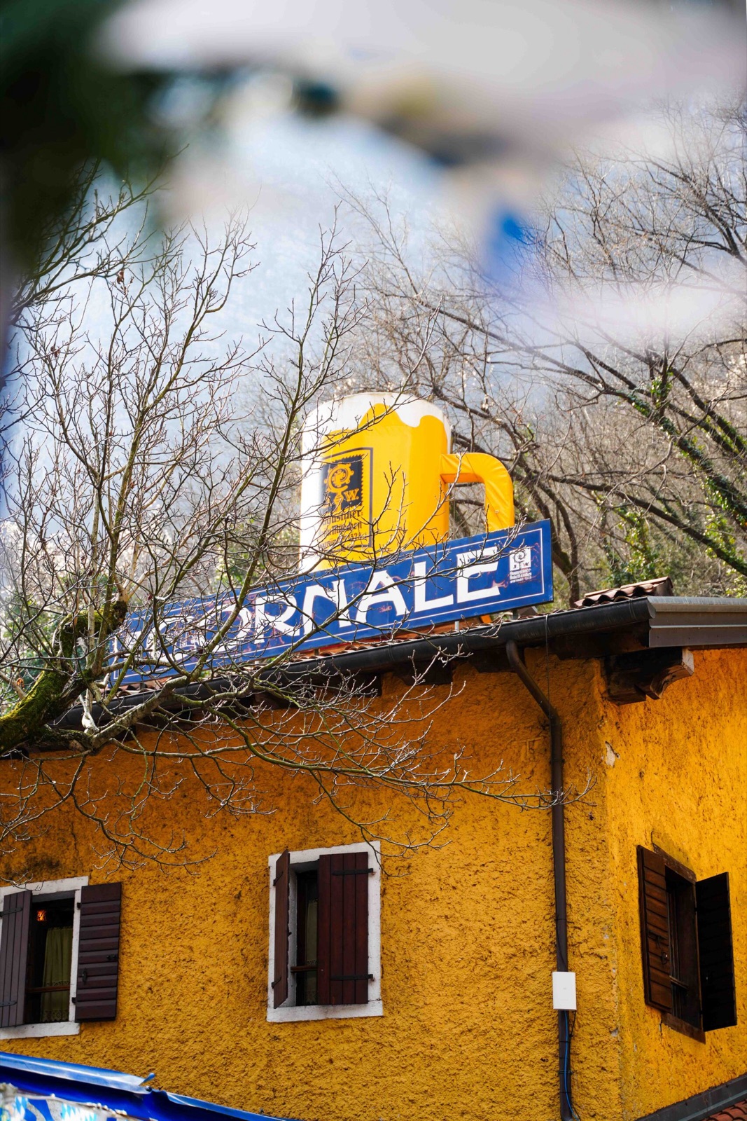 AL CORNALE - RISTORANTE BIRRERIA — foto 4